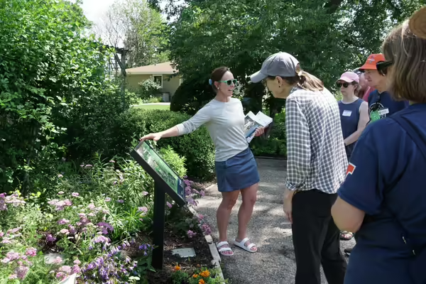 Grow healthier ecosystems at home this pollinator month