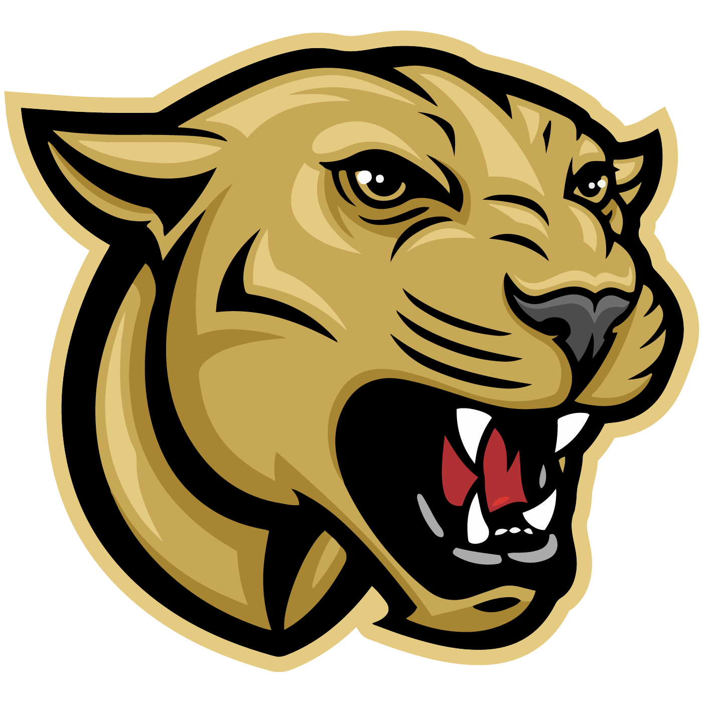 Cornell Grade School Track Athletes Compete in Class 1A State Track Meet