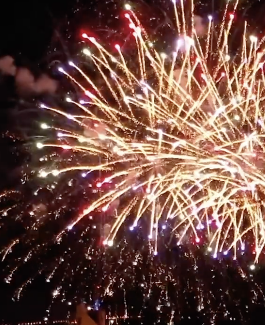 Celebrate Safely This Independance Day!
