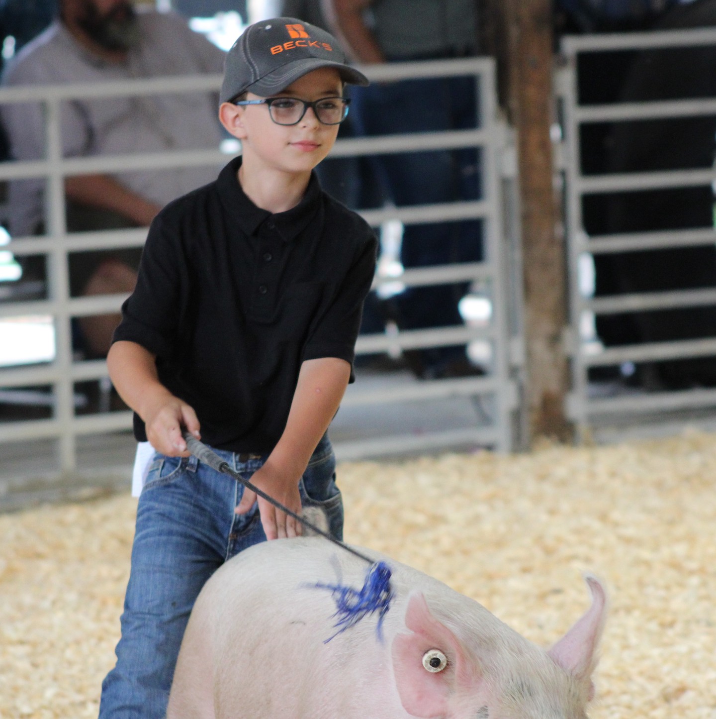 Local youth take center stage at Livingston County 4-H Show