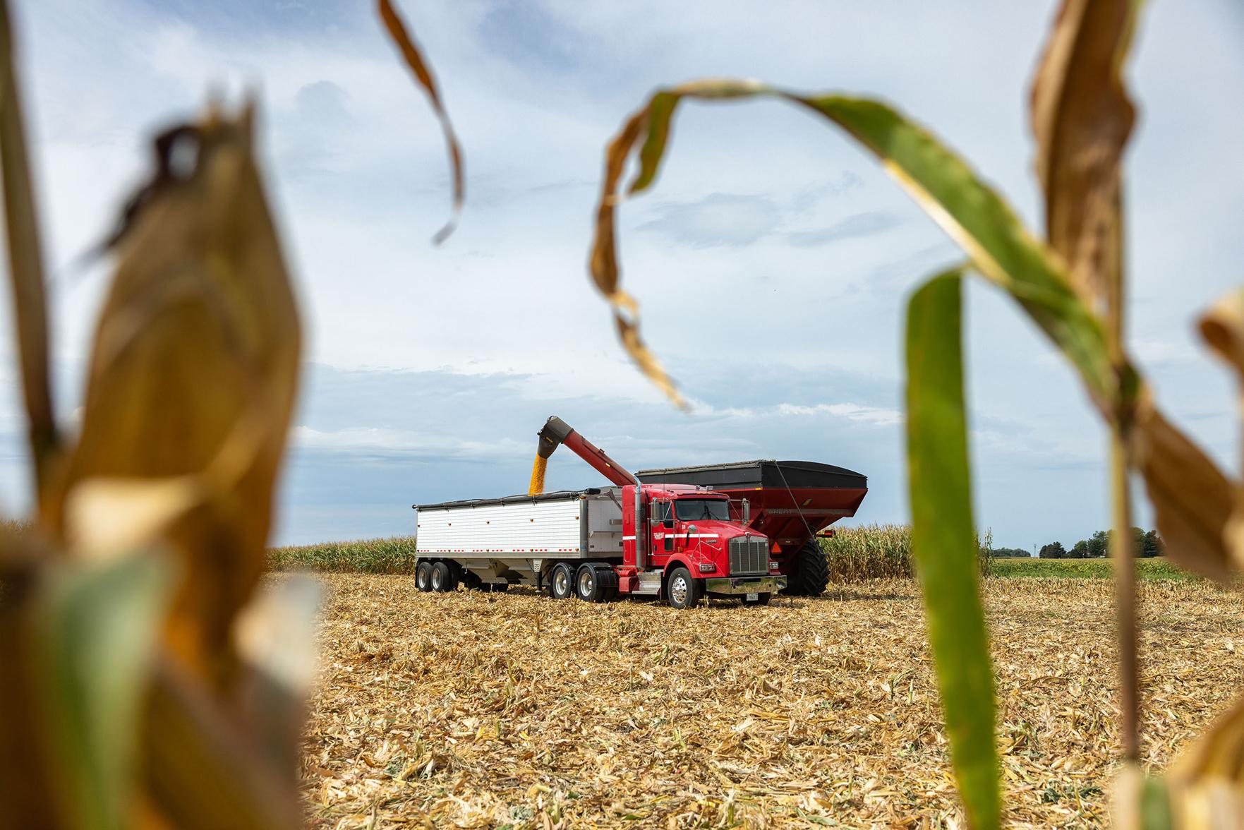 Record diesel prices continue uptrend, surpass $6