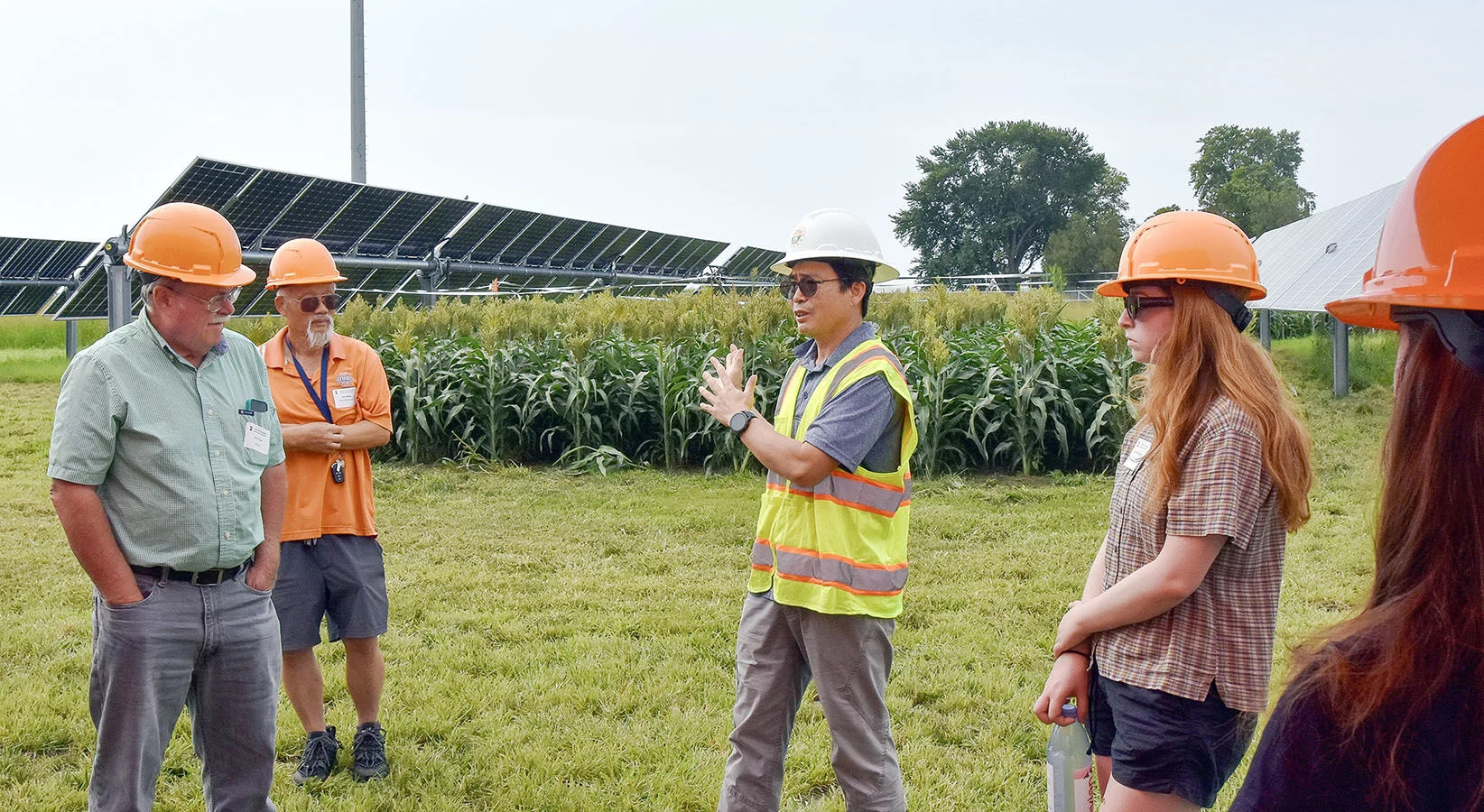 What to know about farming with solar panels