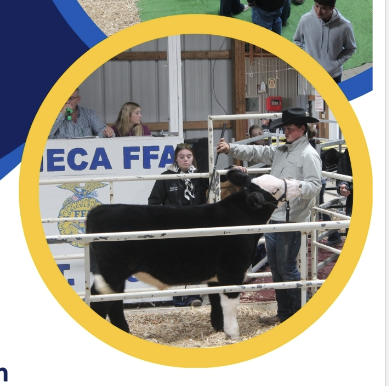 CALF SALE • SENECA FFA • NOV 1